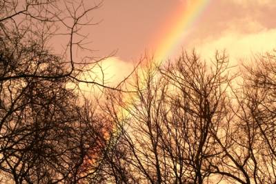 Rainbow, November 2006