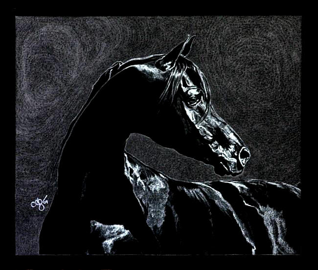 Portrait of Thee Onyx by Arabian horse artist AinslieG 